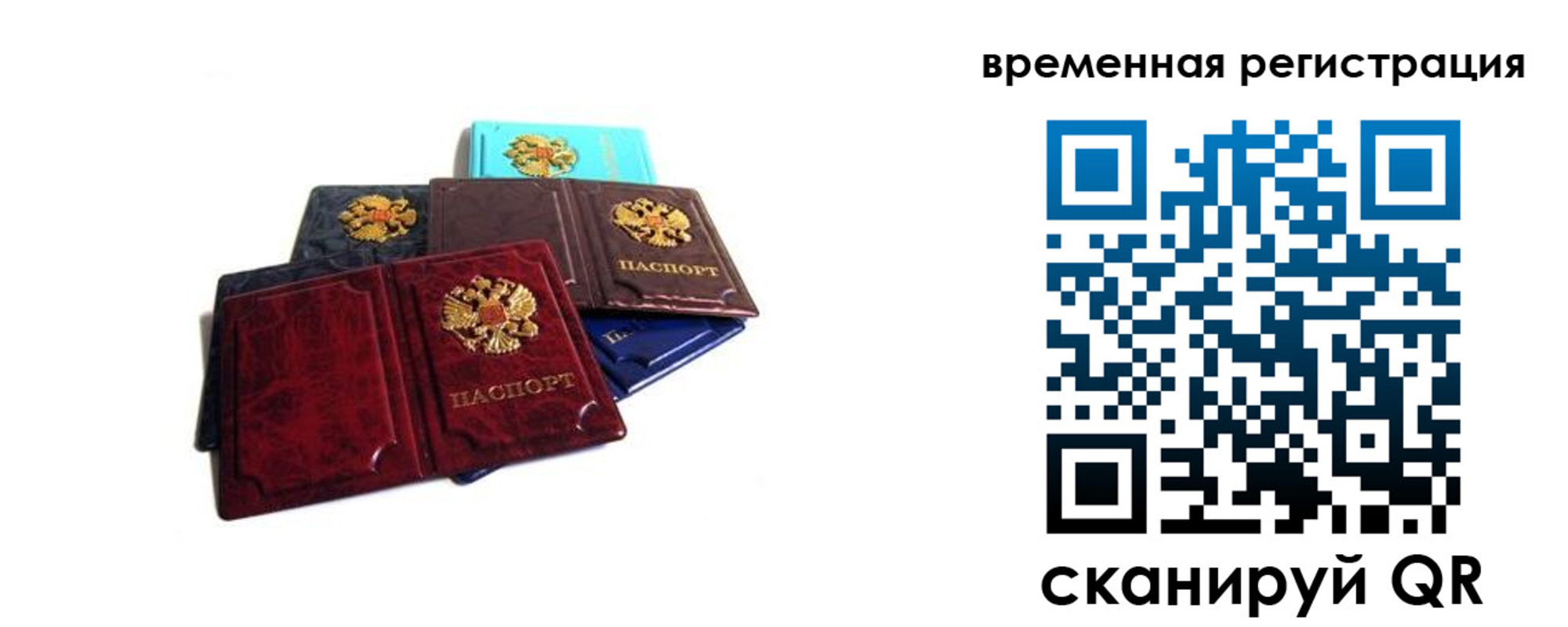 прописка гарантия в Балтийске